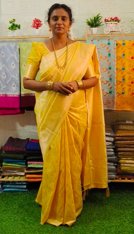 Chanderi Silk Cotton Saree